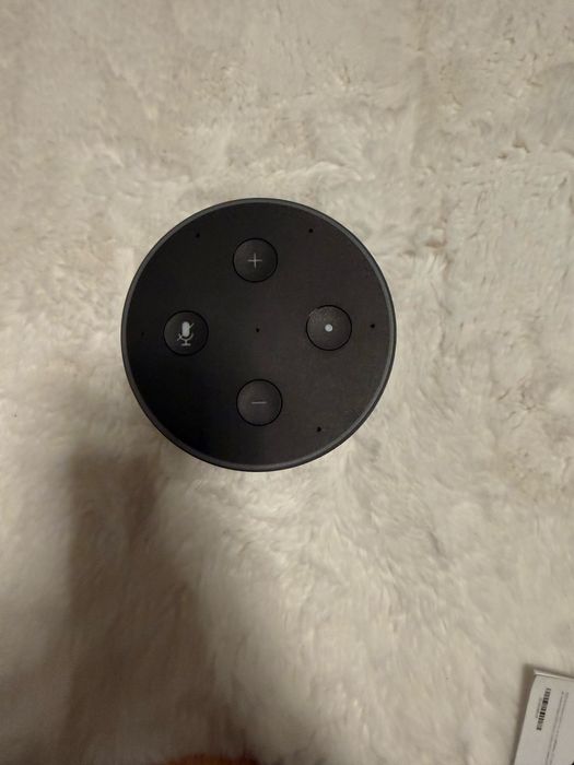 Alexa echo pentru casa