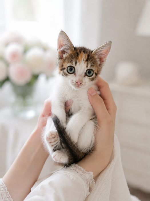 Счастье в ладошке 1.5 месяца ..