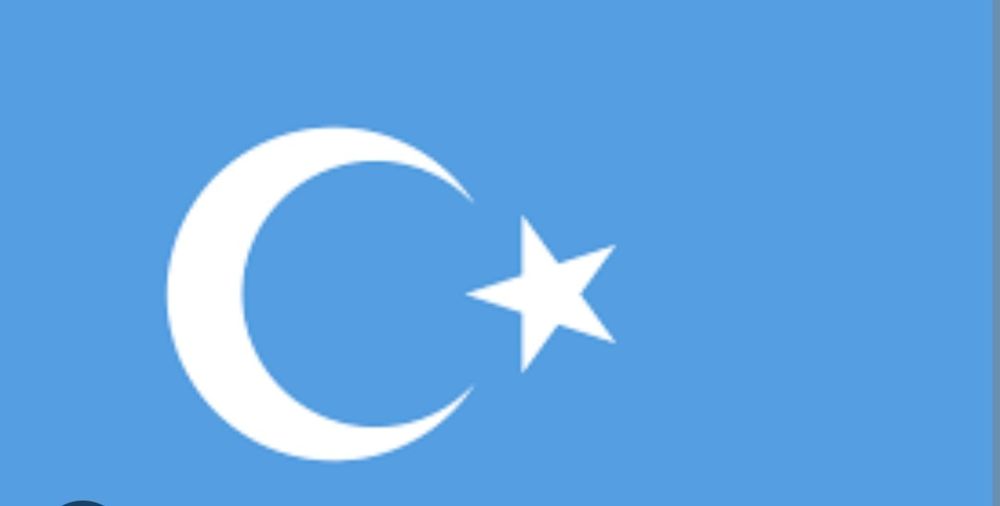 Уйгурский флаг и флажки