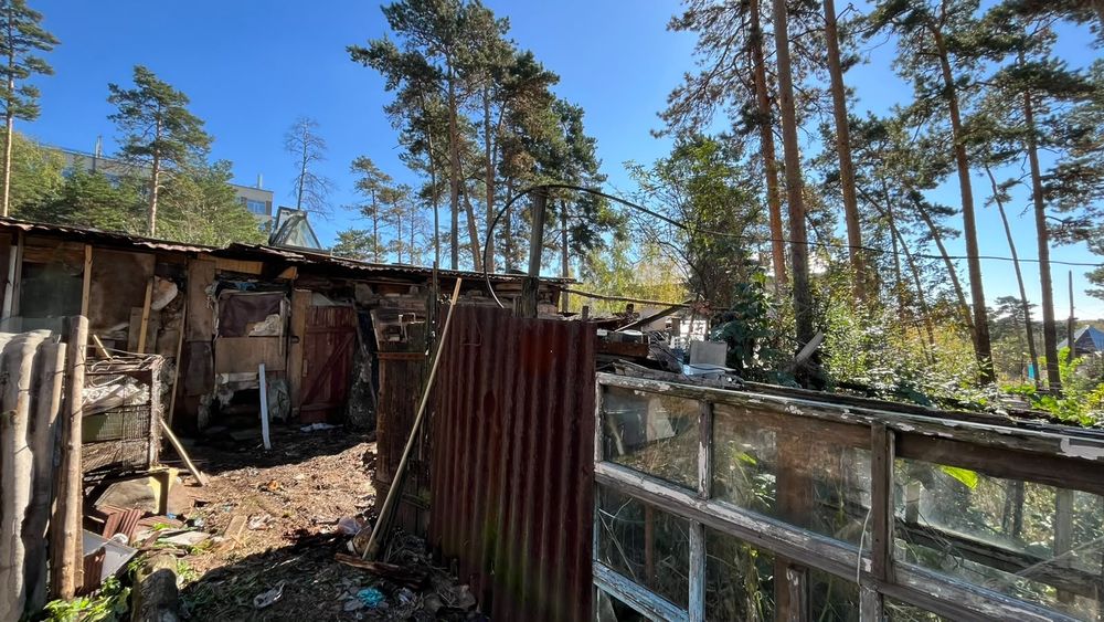Продам участок возле леса