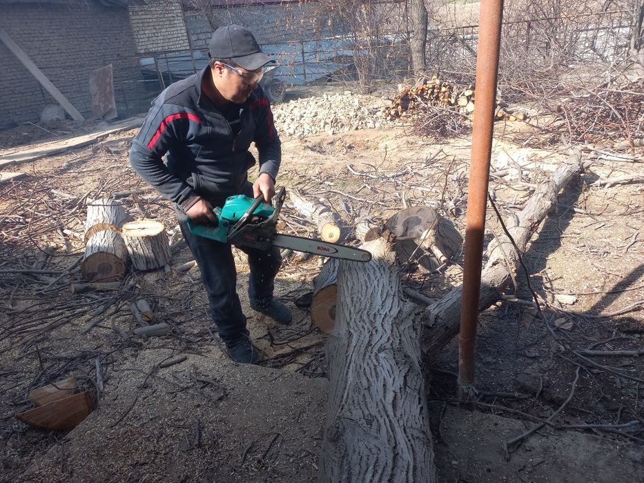 Daraxt  kesish xizmati