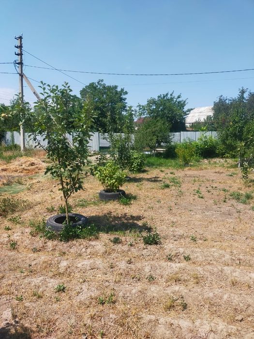 Дом,  посёлок  Актас