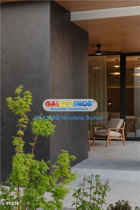 Vanzare Casa Spectaculoasa Cu Piscina Iancu Nicolae