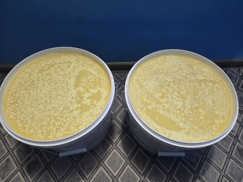 Продам мёд оптом