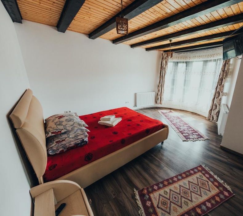 Casa Costea – Relaxare și Aventură în Inima Bucovinei