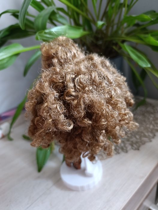 Лол омг Леди Босс ( читать внимательно описание )