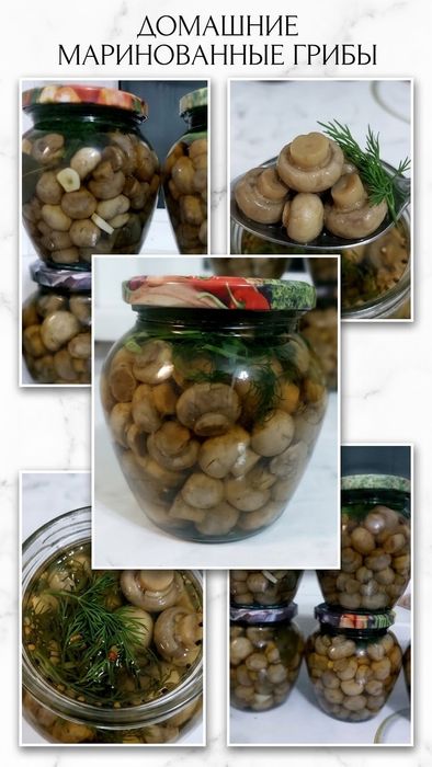 Продам маринованные шампиньоны
