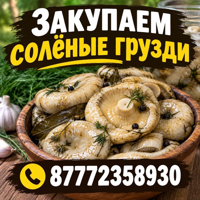 Грибы грузди солёные