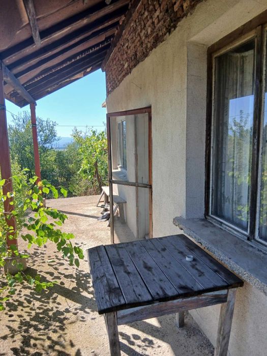 2бр. Вили в непосредствена близост.