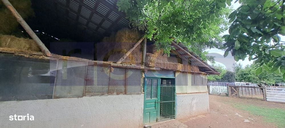 Vanzare Casa | Teren 2.500 Mp | Livada Si Gradina | Comuna Beuca, Tele
