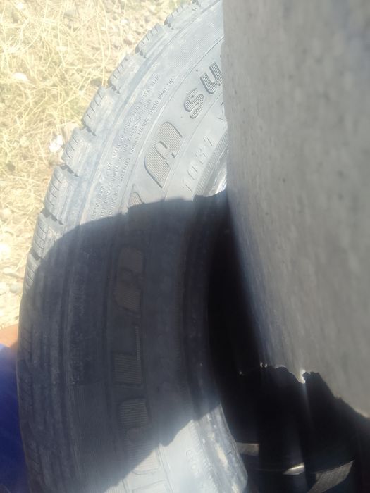 Продам автошины         ш
