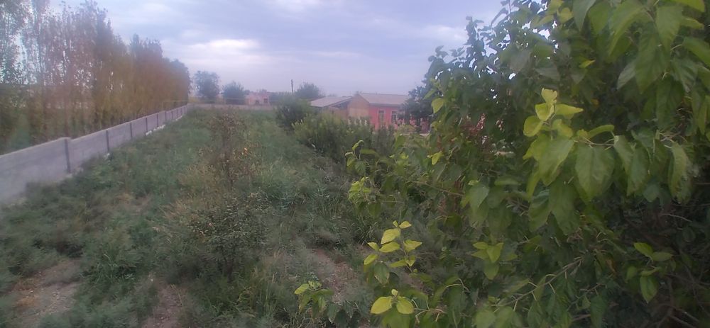 Dachniy dom xaroshiy sastoyaniya