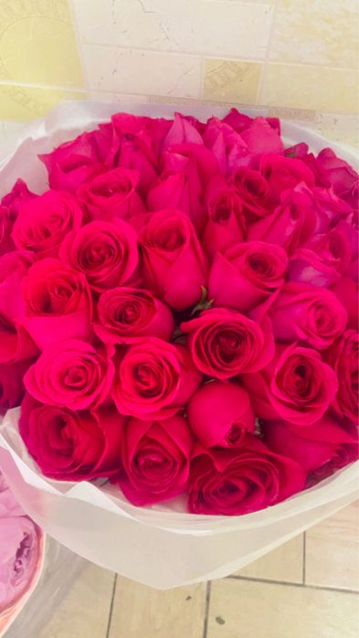 Продам розы 51 шт
