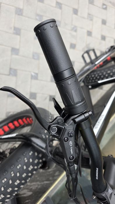 Elektrovelosiped Электровелосипед STRIKER