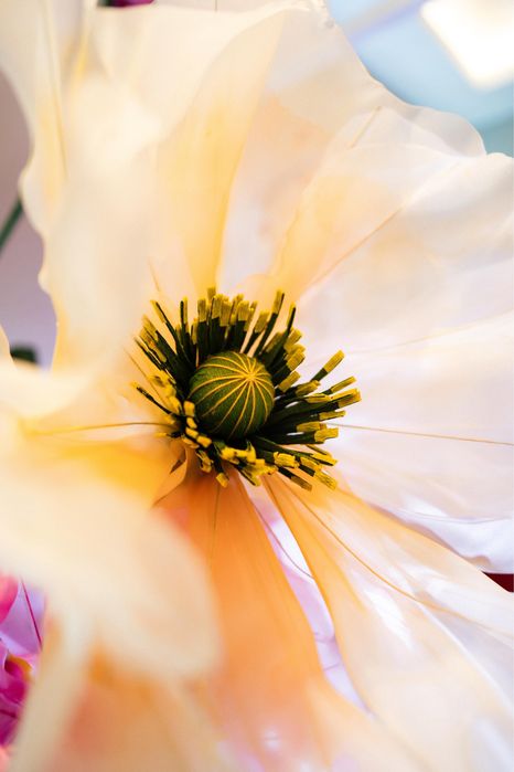 Decor evenimente: nunta, botez, cununie, spatii comerciale