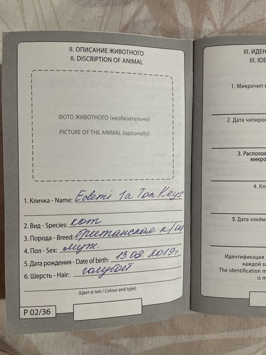 Продам британского кота