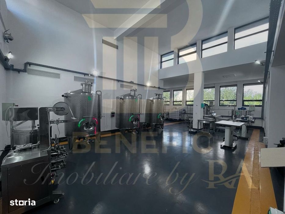 Vanzare Sediu Industrial Clasa A - Arva, Valea Calugareasca, Prahova