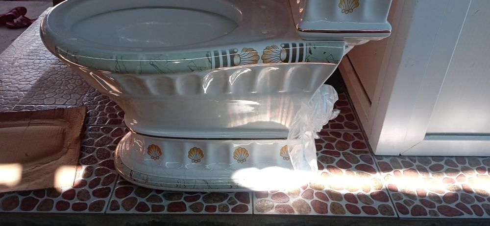 Унитаз Коллекция Зеленый фараон. Б.у