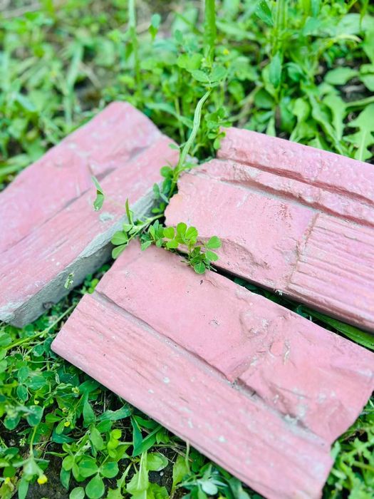 Продам декор кирпичи