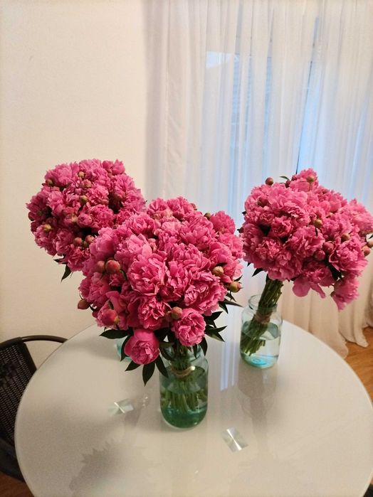 Vand petale BUJORI bio, nestropiti