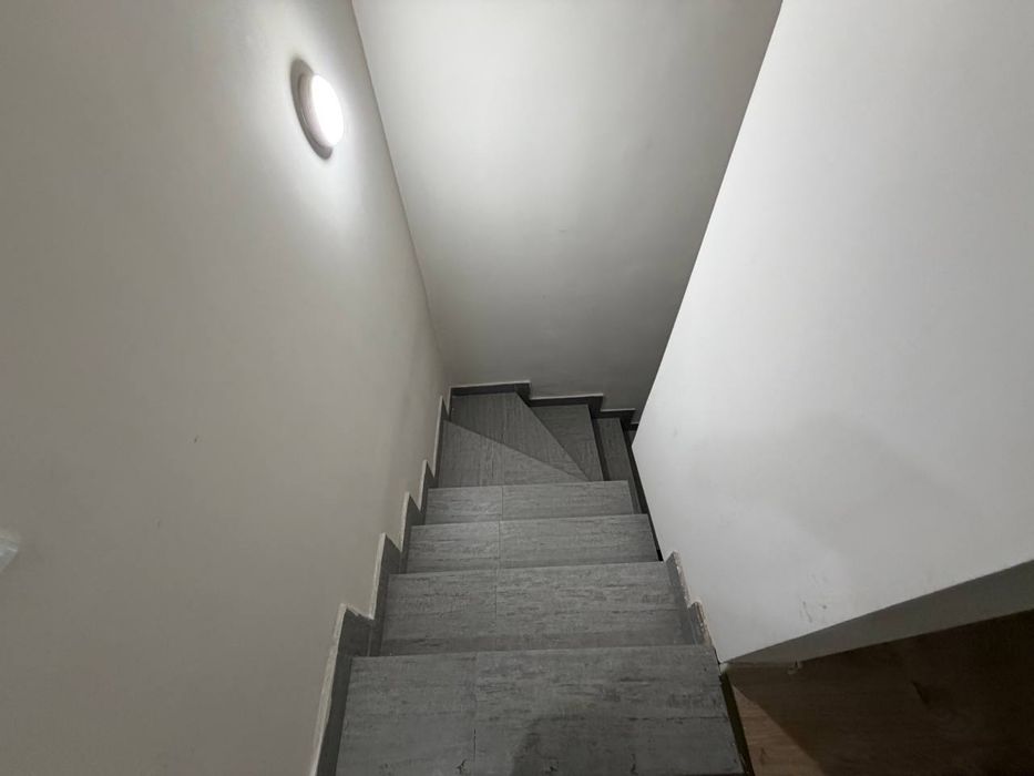 Alfraganus duplex 5х ком.