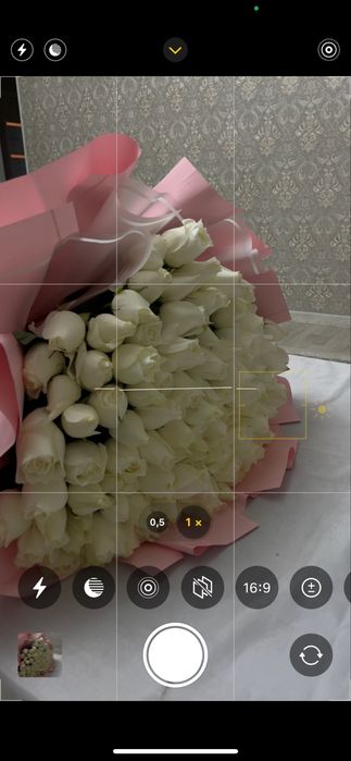 Белые розы ,101штук