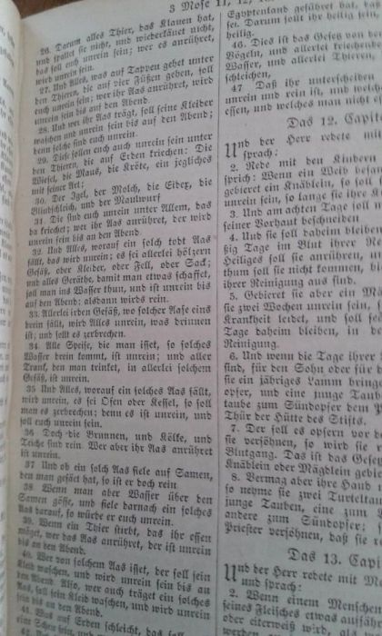 Антични библии от Мартин Лутер 1769