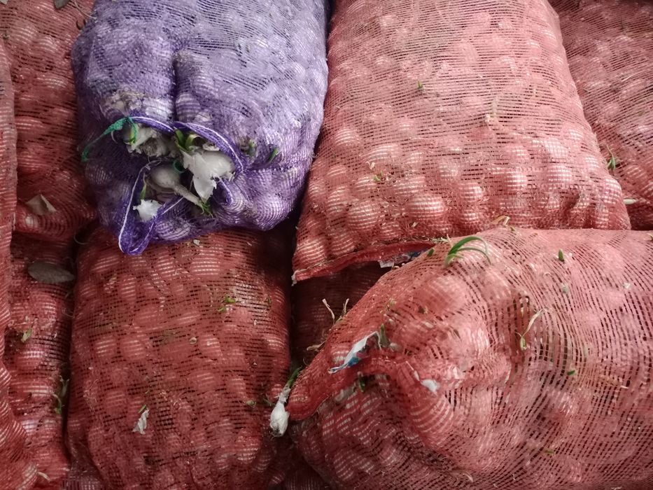 Срочно продам лук, цена договорная