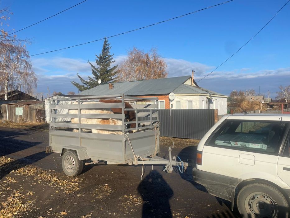 Продам прицеп самодельный