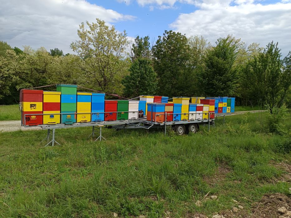 Vând remorcă apicolă