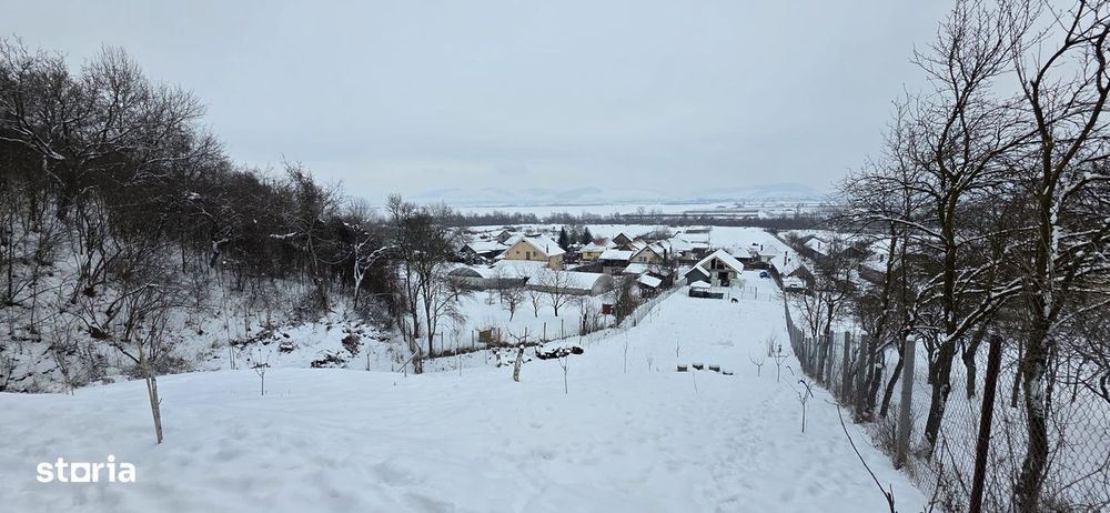 Proprietate deosebită în sat Chinari – Sântana de Mureș