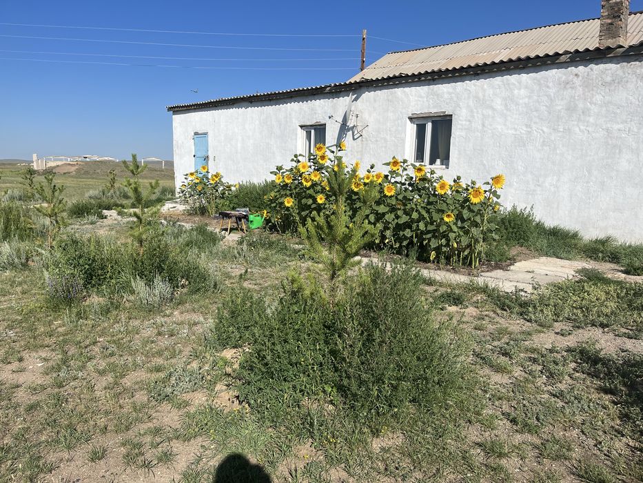 Продается хозяйство