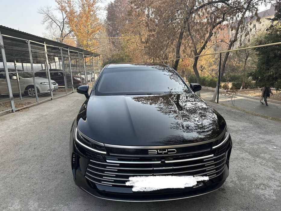 Byd chazor 2025y