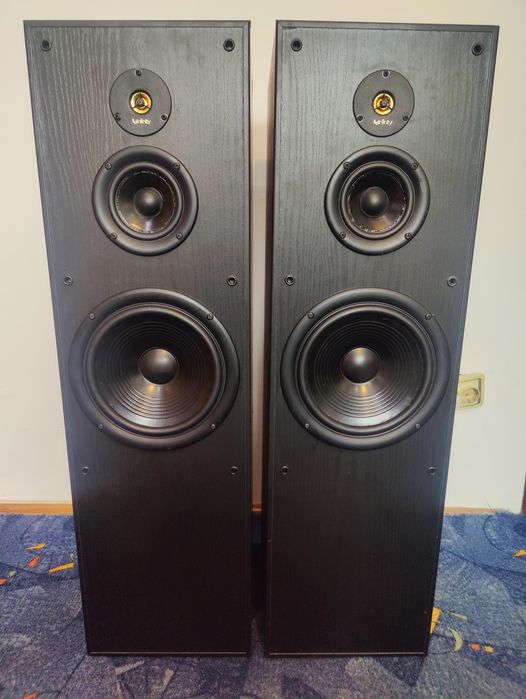 Vand boxe Infinity Reference 51 MKII