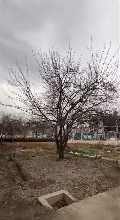 Земля под строительство первая линия Чинабад улица 20/20 фасад