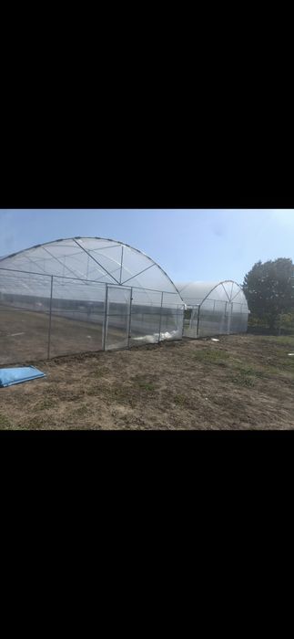 Sere si i Solarii Profesionale