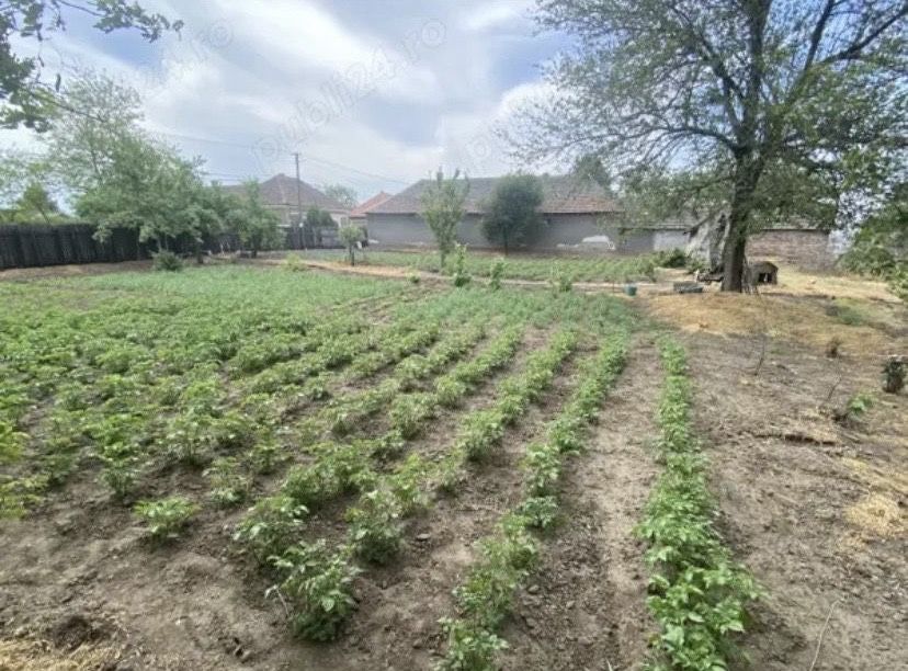 De vânzare: Teren intravilan CU casă – Zimandu Nou, zonă centrală