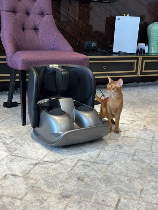 Массажер для ног и спина