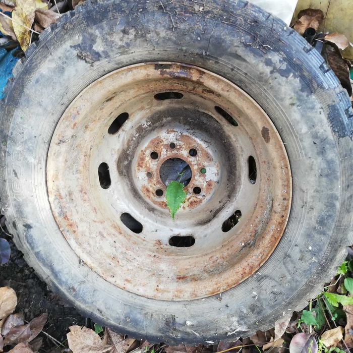 Продавам 1бр джанта 5.5J14 ЦОЛА 114,3мм от Примера.