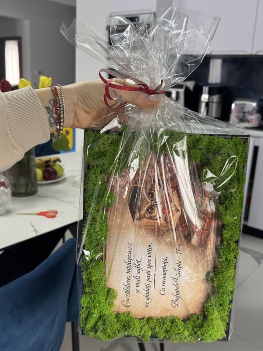 Realizez tablori personalizate cu licheni naturali si diferite plante.