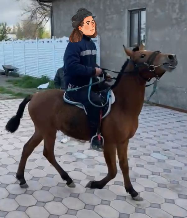 Минги ири тай сатылады