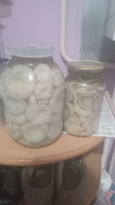 Продам маринованные грибы грузди, подтопольники  и другие