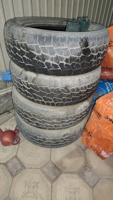 Летние авто шины!