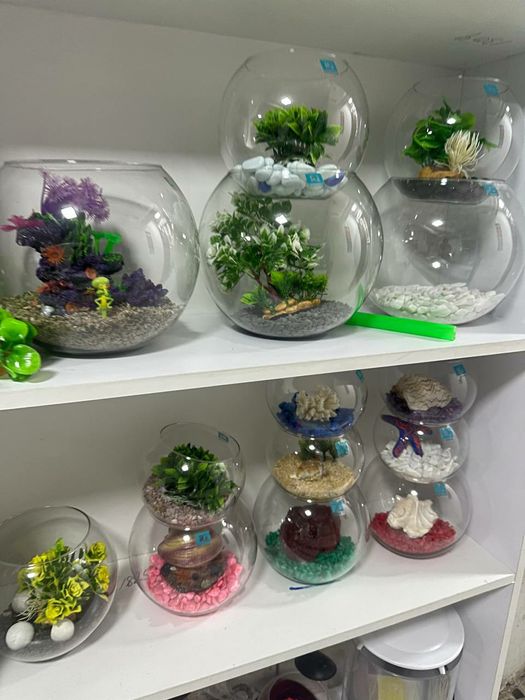 В Нашем Магазине имеются Б наличии Круглые Аквариумы