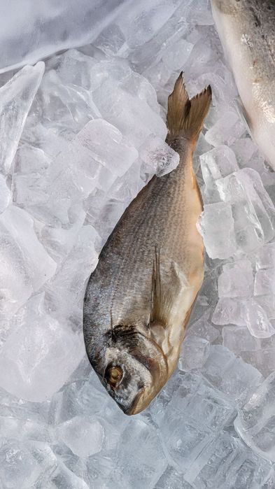 Рыбные деликатесы Алматы