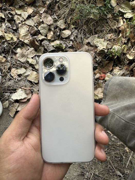 Iphone 13 pro ideal