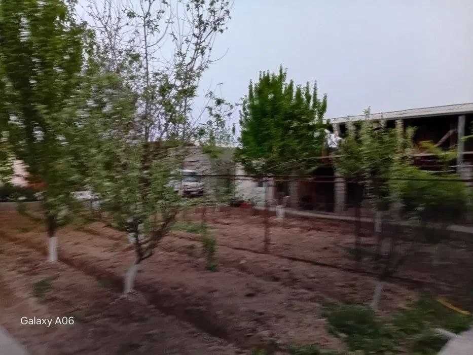 Ташкент вилоят  Янги йу́л туман