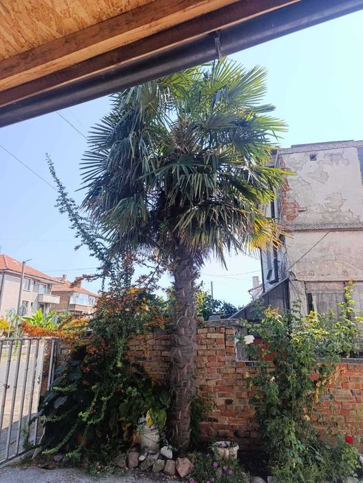 Продава се Четиристаен апартамент в Поморие - 95 кв.м за 1574 €/кв.м - Снимка #10