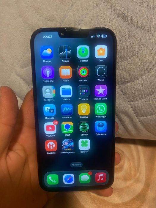 iPhone 13 Pro Max