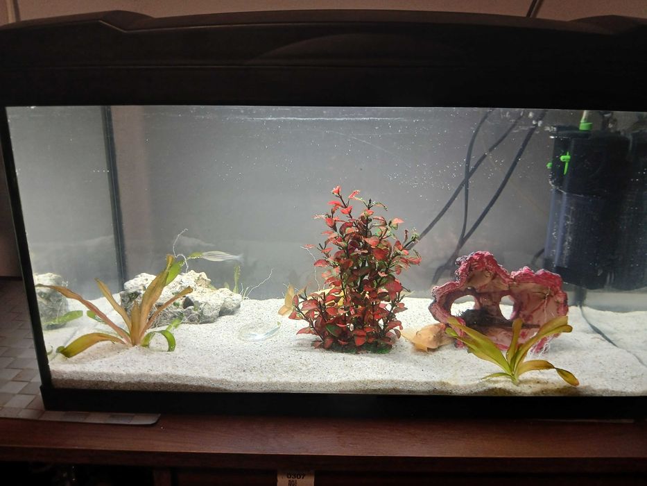 Vand acvariu cu accesori multiple